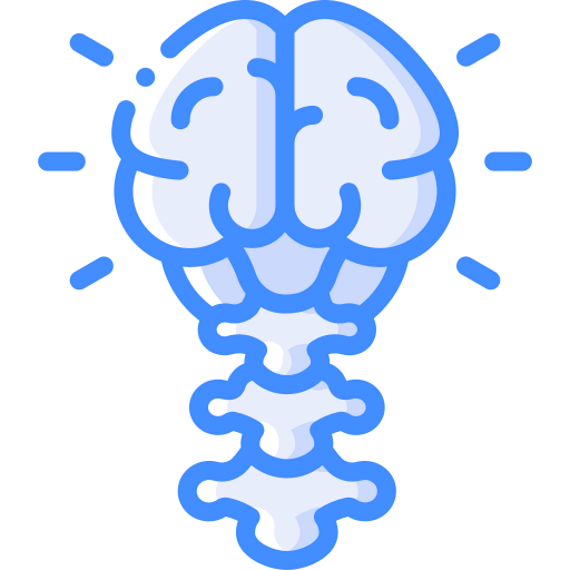 Brain icon