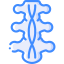 Spinal cord icon 64x64