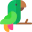 Parrot 图标 64x64