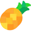 Pineapple 图标 64x64