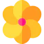 Flower 图标 64x64
