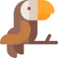 Toucan 图标 64x64