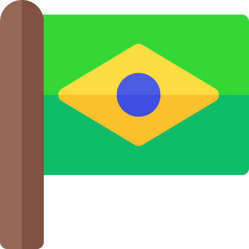 Flag icon