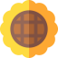 Sunflower 图标 64x64