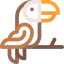 Toucan icon 64x64