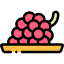 Grapes icon 64x64