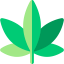 Marijuana icon 64x64
