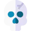 Skull icon 64x64