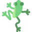 Frog icon 64x64