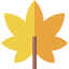 Leaf icon 64x64
