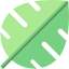 Leaf icon 64x64