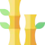 Bamboo icon 64x64