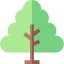 Tree icon 64x64