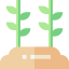 Plant 图标 64x64