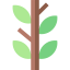 Plant 图标 64x64