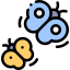 Butterfly icon 64x64