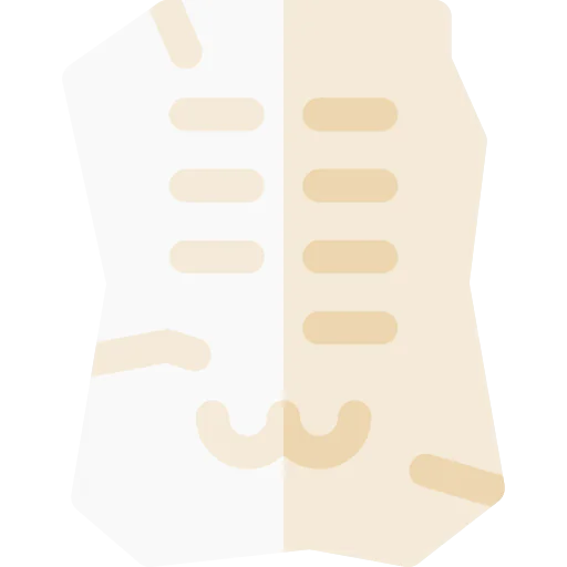 Fossil Ikona