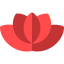Lotus іконка 64x64