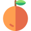 Апельсин иконка 64x64