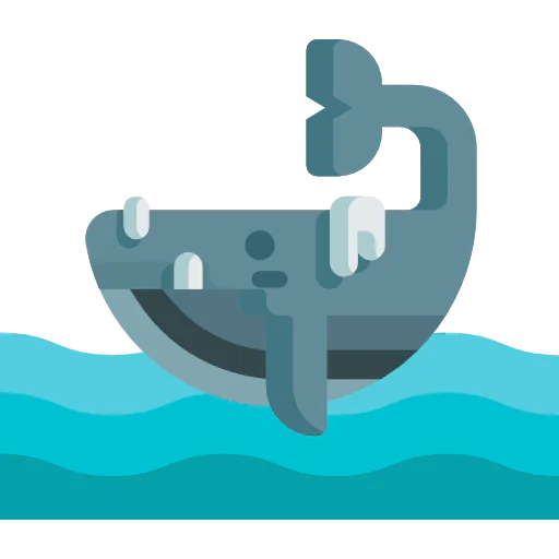 Whale Ikona