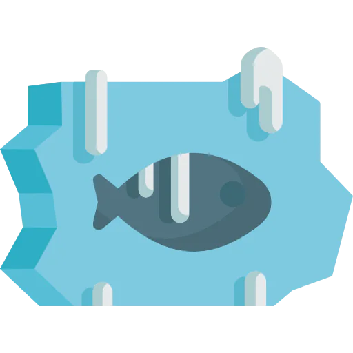 Fish icon