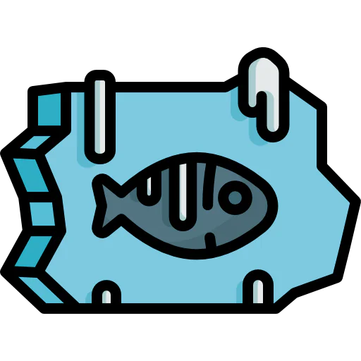 Fish icon