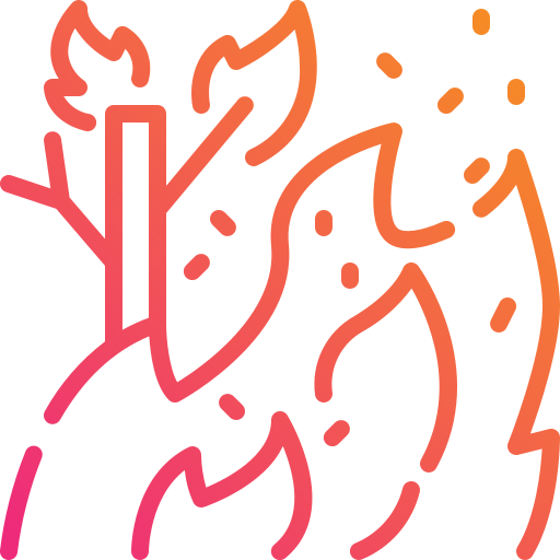 Wildfire icon