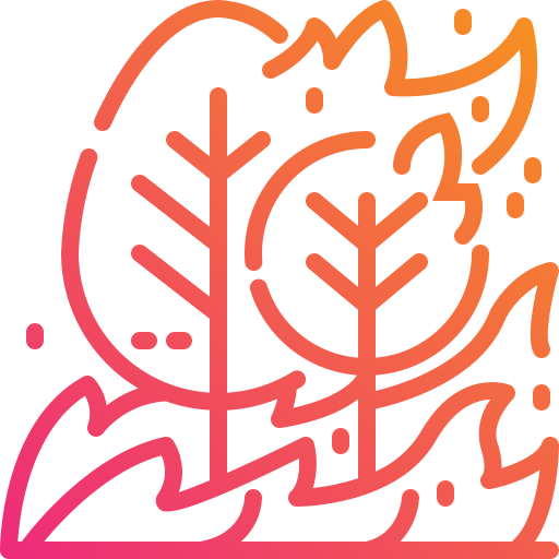 Wildfire icon