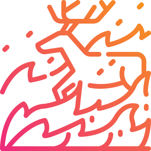 Wildfire icon
