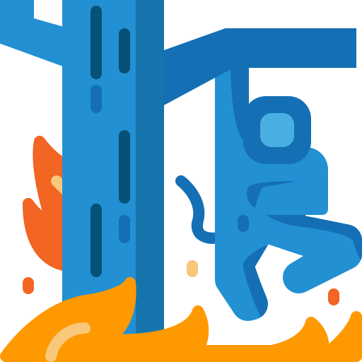 Wildfire icon
