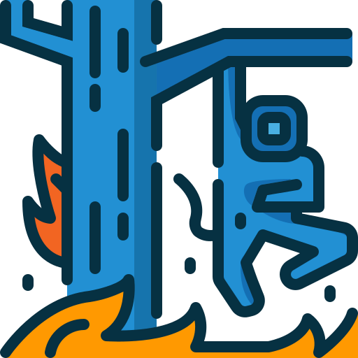Wildfire icon