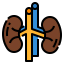 Kidney іконка 64x64