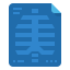 X rays Ikona 64x64