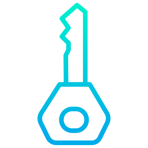 Key icon