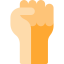Protest icon 64x64