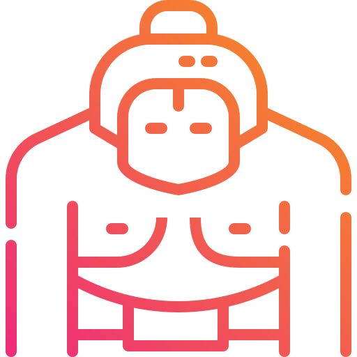 Sumo icon