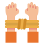 Custody icon 64x64