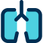 Lungs icon 64x64
