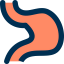 Stomach icon 64x64