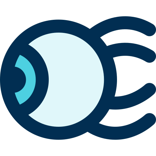 Eye icon