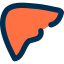 Liver icon 64x64