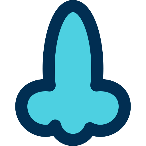 Nose icon