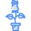 Rose icon 64x64
