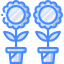 Flowers icon 64x64