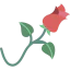 Rose icon 64x64