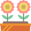 Flower icon 64x64