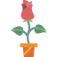 Rose icon 64x64