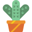 Cactus icon 64x64