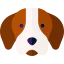 Dog icon 64x64