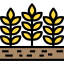 Barley 图标 64x64